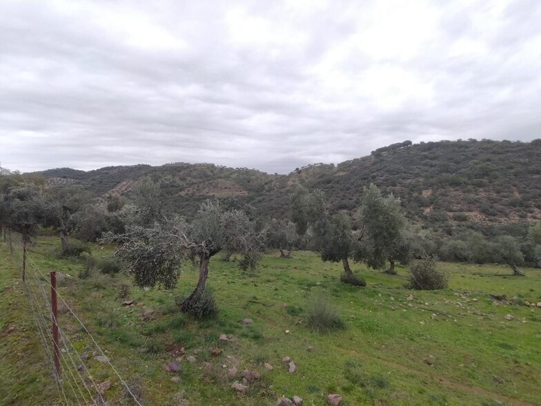 Terreno en Villanueva del Rey, Córdoba en venta - Vista aérea - Imagen 3 de 8