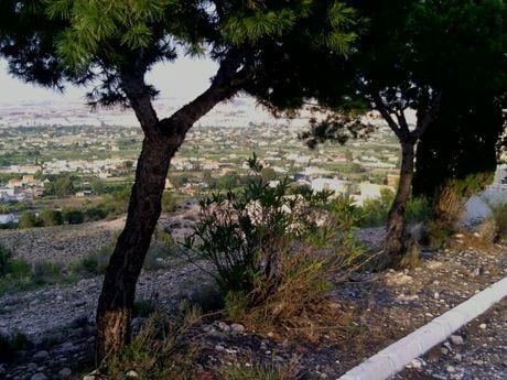 Terreno en Alguazas, Murcia en venta - Vista aérea - Imagen 2 de 9
