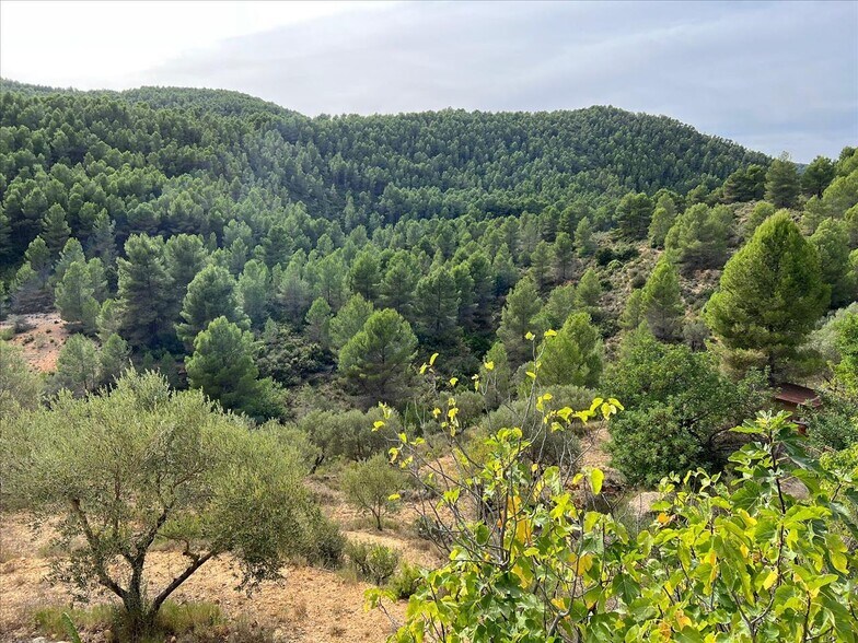 Terreno en Buñol en venta - Foto del edificio - Imagen 2 de 12