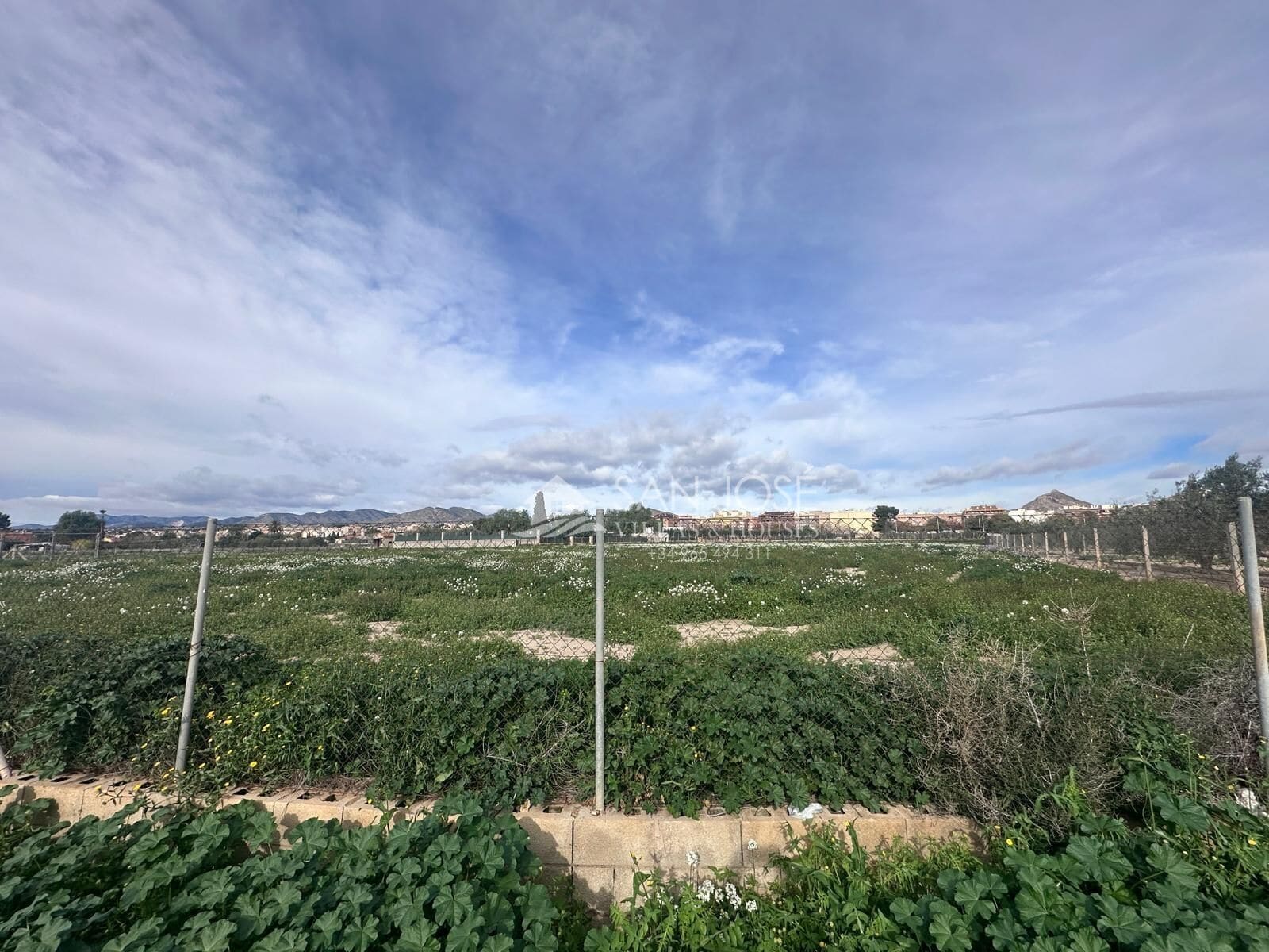 Terreno en Novelda, Alicante en venta Foto del edificio- Imagen 1 de 4