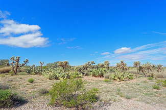 Más detalles para 7850 E Valencia Rd, Tucson, AZ - Terrenos en alquiler