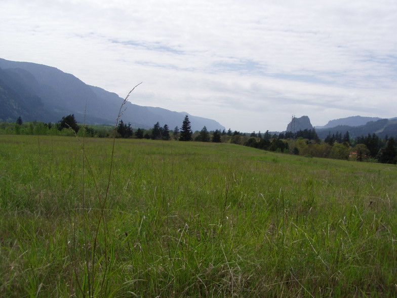 HWY 14, North Bonneville, WA en alquiler - Otros - Imagen 2 de 3