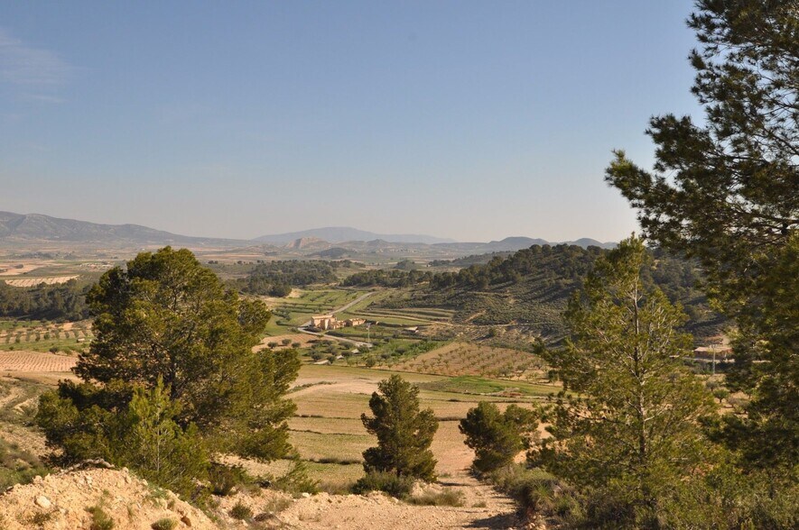 Terreno en Jumilla, Murcia en venta - Vista aérea - Imagen 3 de 9