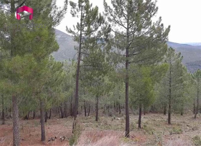 Más detalles de 5, Parcela 365, Robledillo de la Jara - Terreno en venta