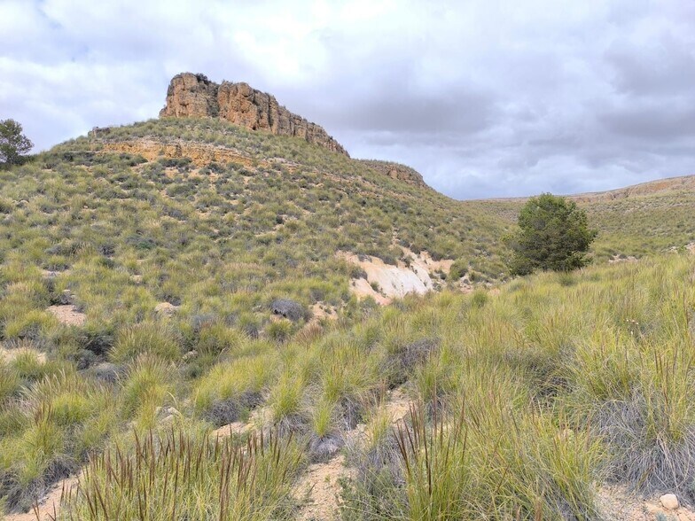 Terreno en MURCIA en venta - Foto del edificio - Imagen 3 de 8