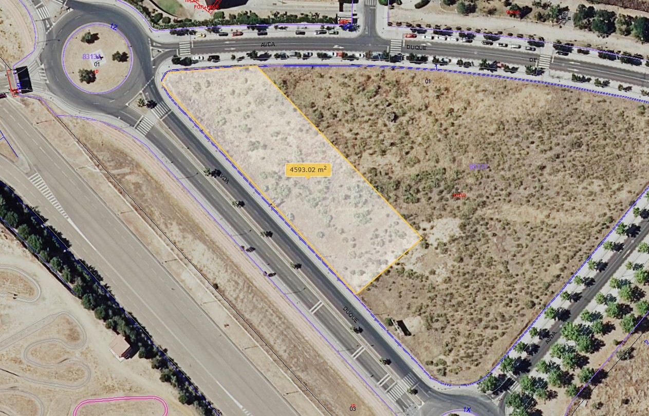 Avenida Duque de Ahumada, s/n, Mérida, Badajoz en venta Plano de la planta- Imagen 1 de 5