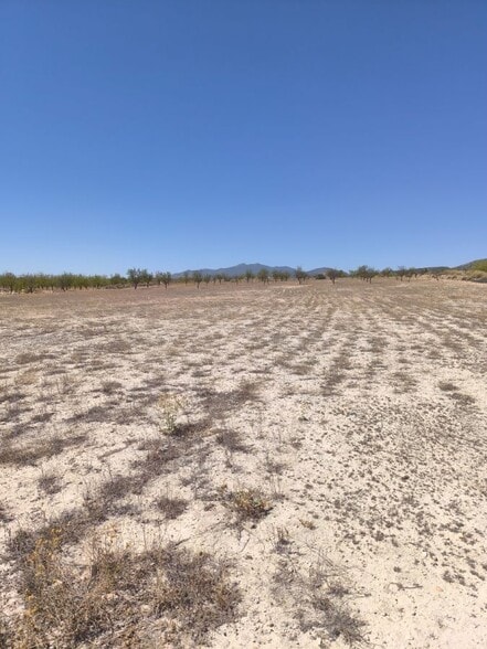 Terreno en PINOSO, Alicante en venta - Plano del sitio - Imagen 2 de 5