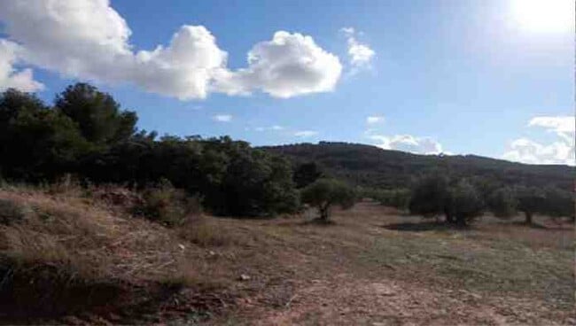 Más detalles de Terreno en venta