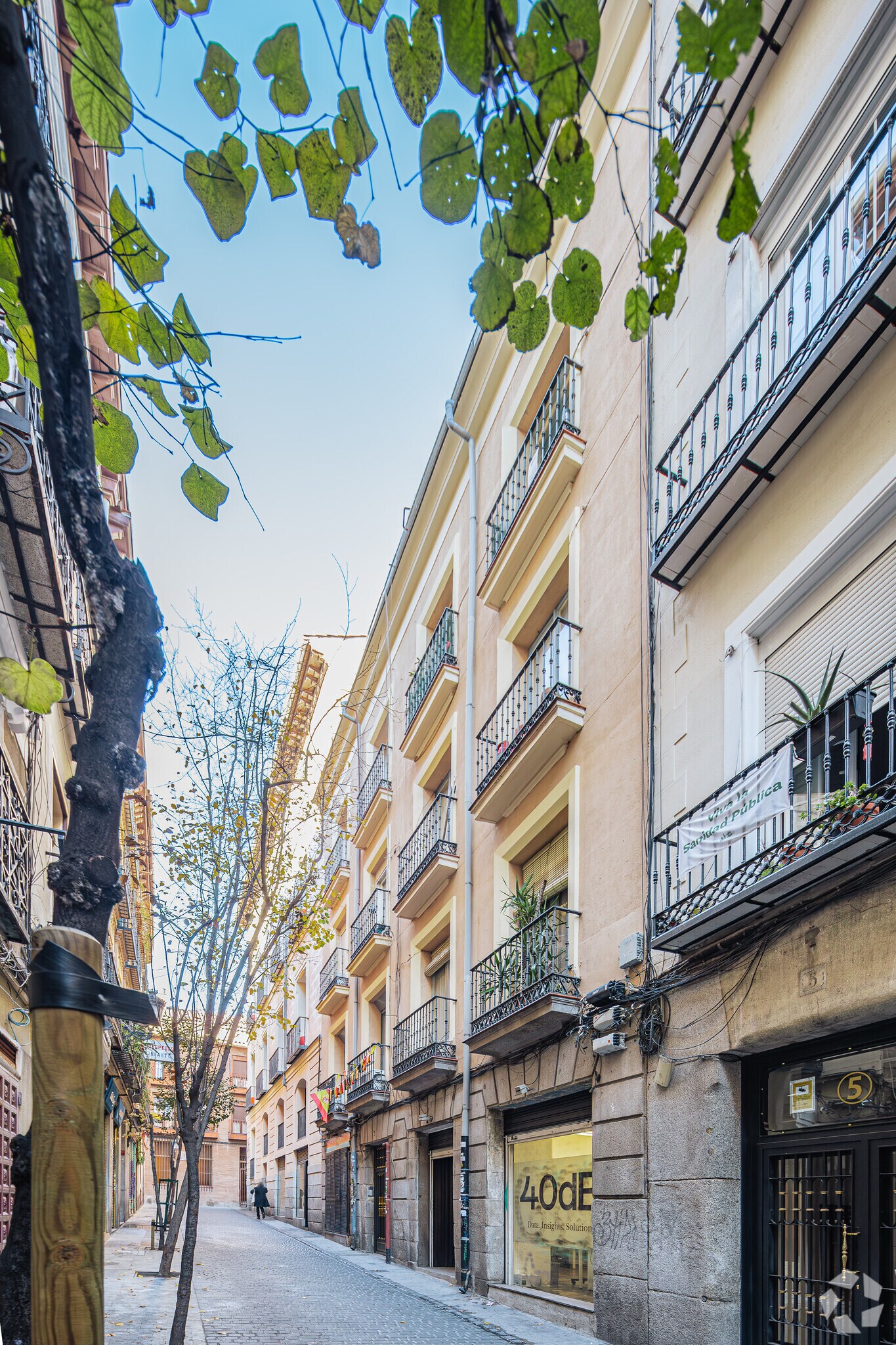 Local en Madrid, Madrid en alquiler Foto principal- Imagen 1 de 4