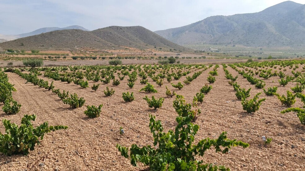 Sin Calle, Abanilla, Murcia en venta - Foto del edificio - Imagen 3 de 13