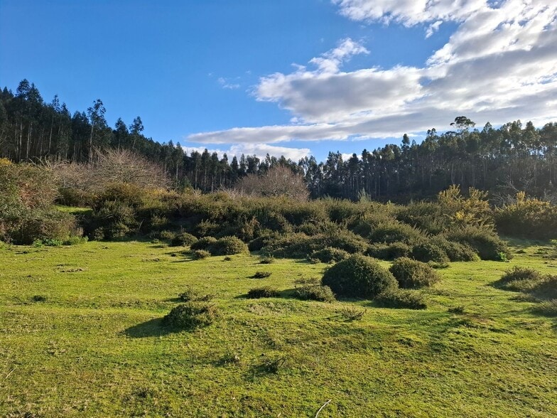 Acevedo, Oia, Pontevedra en venta - Foto del edificio - Imagen 1 de 42