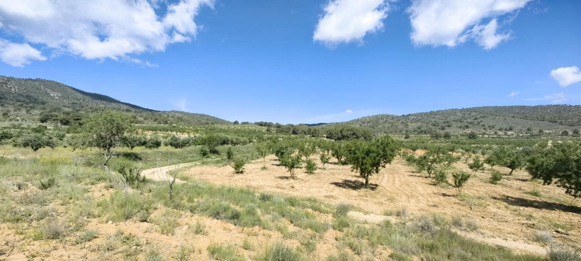 Terreno en Yecla, Murcia en venta Vista aérea- Imagen 1 de 7