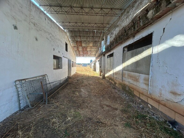 Nave en Polán, Toledo en venta - Foto del edificio - Imagen 3 de 14