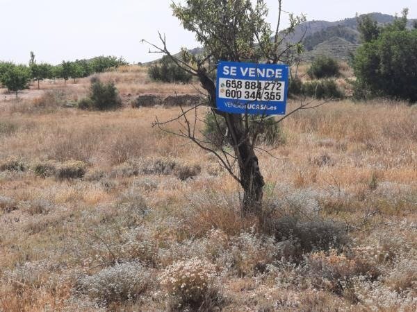Más detalles de Terreno en venta