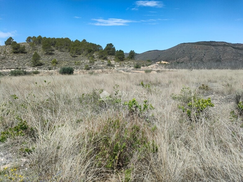 Terreno en HONDÓN DE LAS NIEVES en venta - Plano del sitio - Imagen 2 de 4