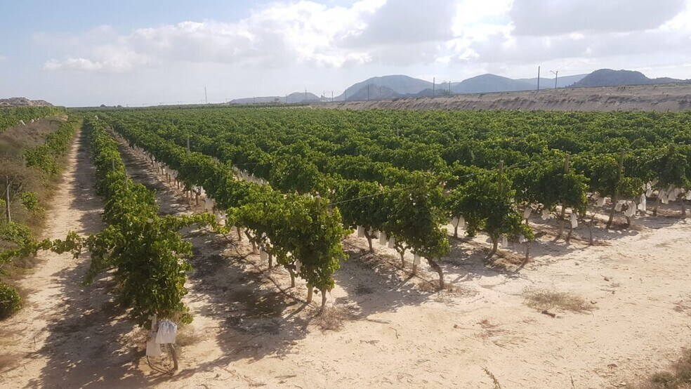 Terreno en Agost, Alicante en venta - Vista aérea - Imagen 2 de 9