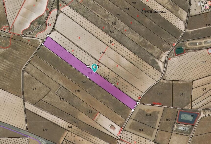 Terreno en Jumilla en venta - Foto del edificio - Imagen 1 de 8