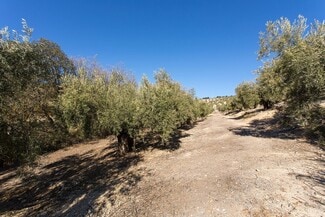 Más detalles de Poligono, 2 Parcela 276 Y, Campotéjar - Terreno en venta