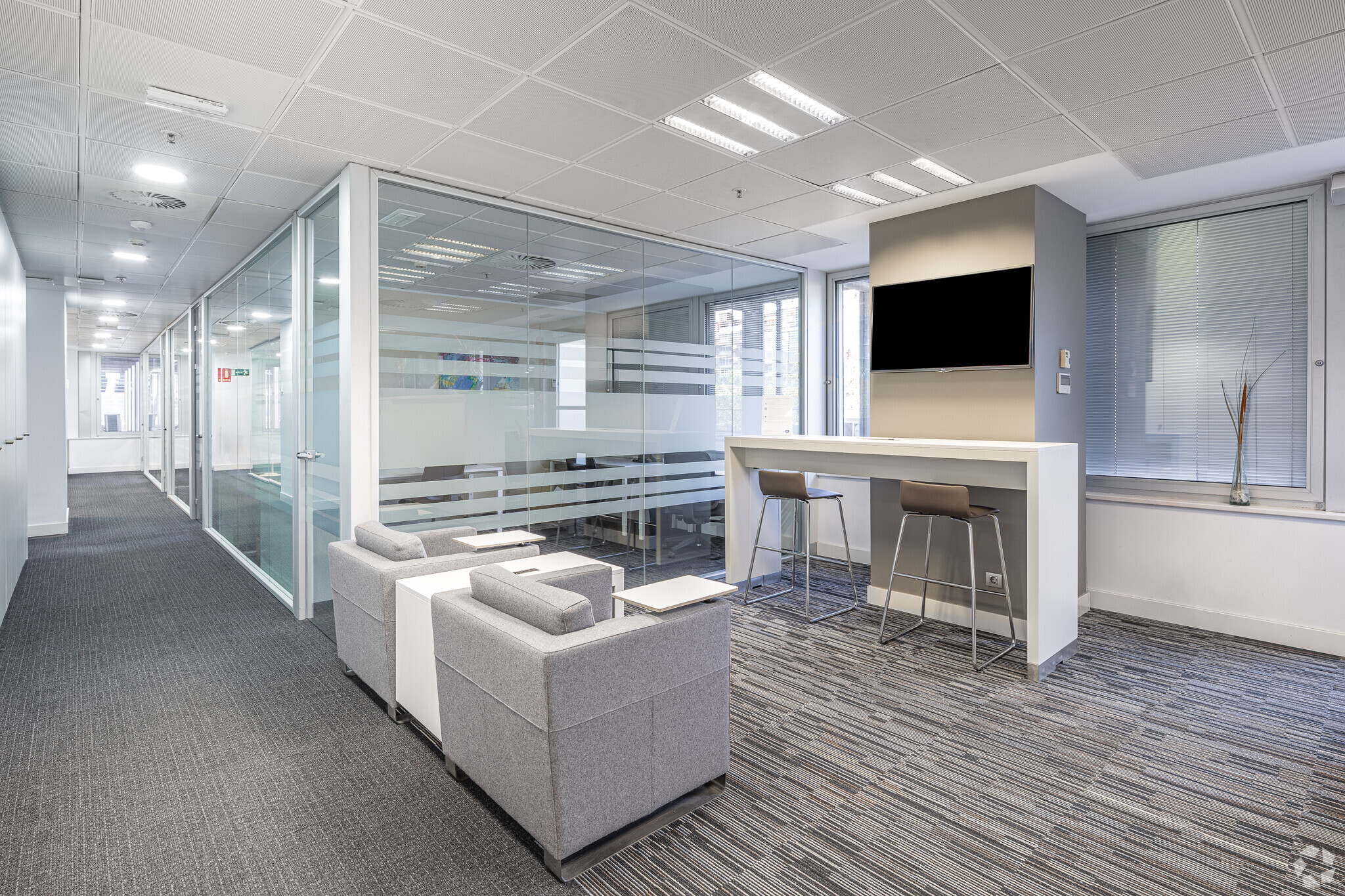 Paseo Castellana, 93, Madrid, Madrid en alquiler Foto del interior- Imagen 1 de 16