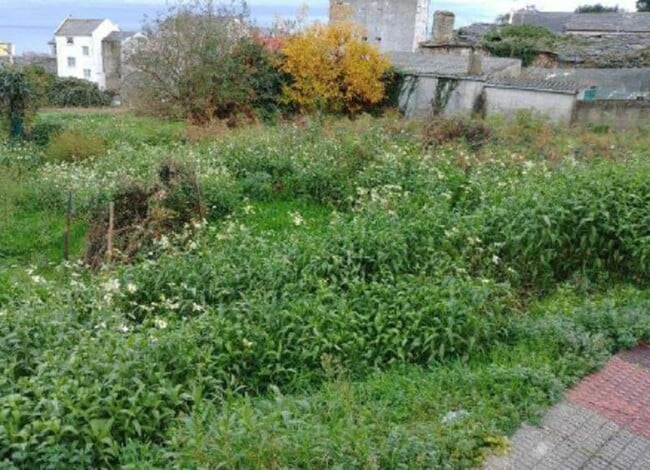 Más detalles de Terreno en venta