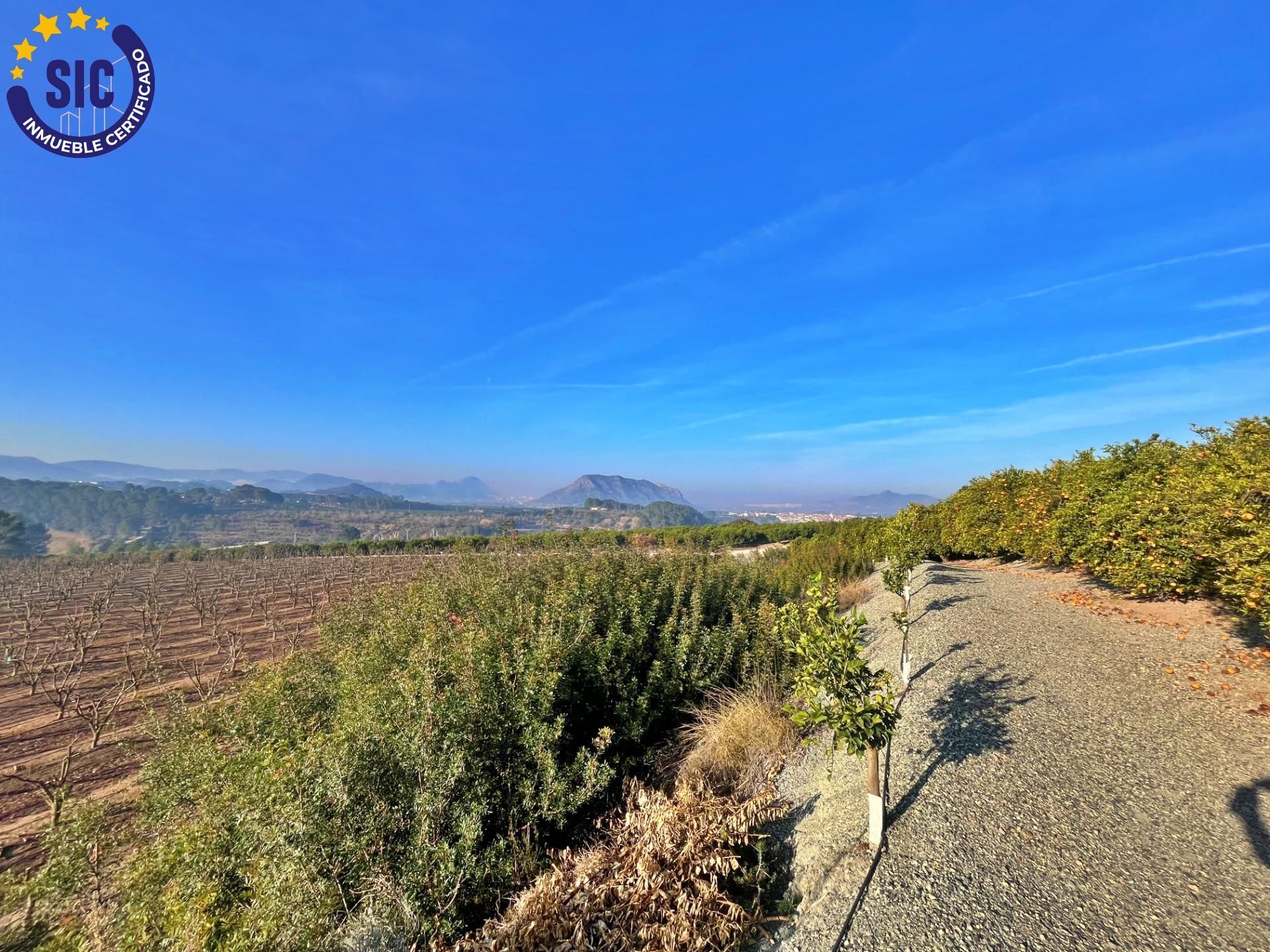 Terreno en Barxeta, Valencia en venta Foto del edificio- Imagen 1 de 1
