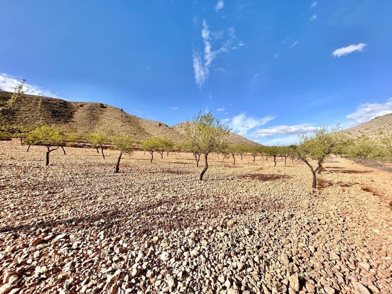 Terreno en Orihuela, Alicante en venta - Vista aérea - Imagen 2 de 5