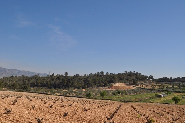Más detalles de Sin Calle, Jumilla - Terreno en venta