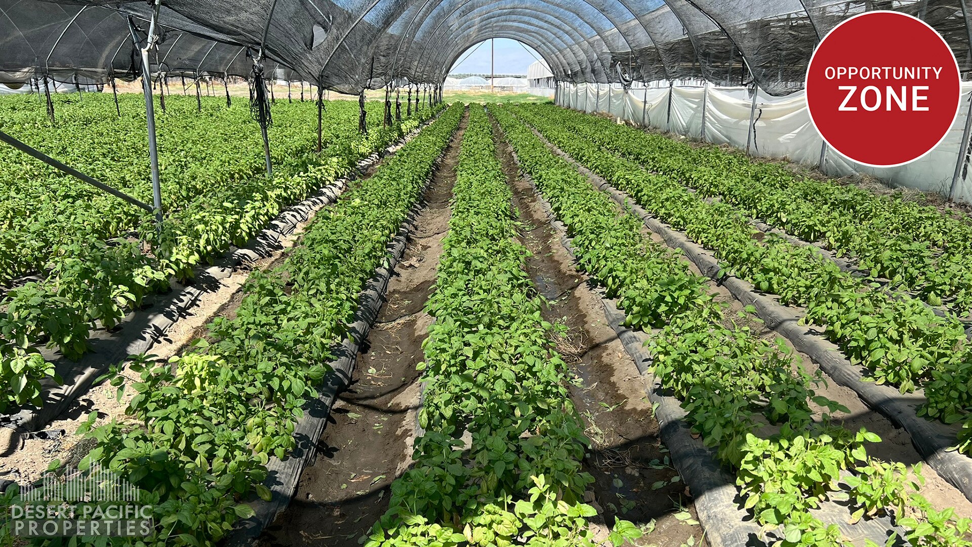 78100 Harrison St, Thermal, CA en venta Foto principal- Imagen 1 de 41