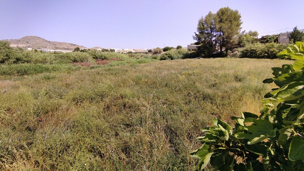 Terreno en Calasparra, Murcia en venta - Plano del sitio - Imagen 1 de 9