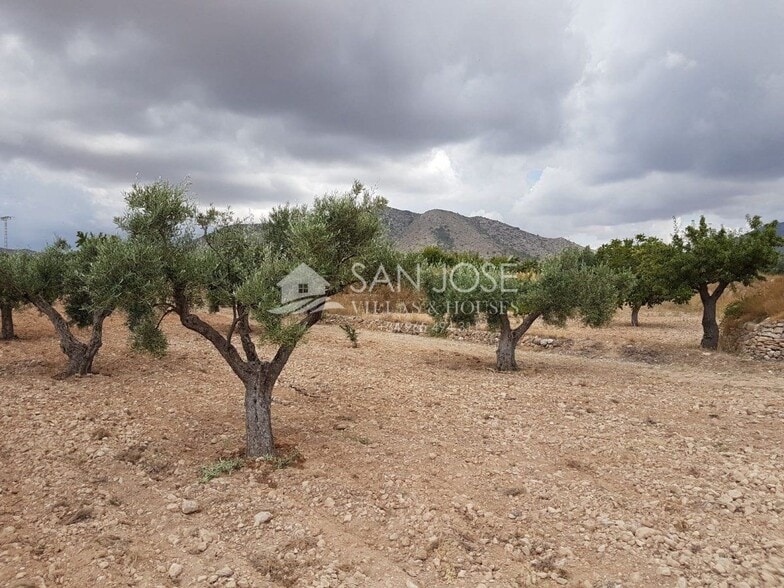 Terreno en HONDÓN DE LAS NIEVES, Alicante en venta - Foto principal - Imagen 1 de 2