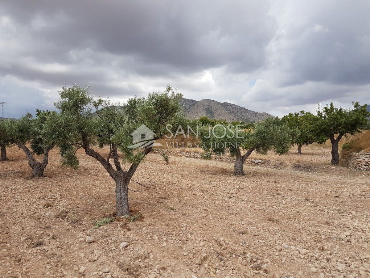 Terreno en HONDÓN DE LAS NIEVES, Alicante en venta Foto principal- Imagen 1 de 3