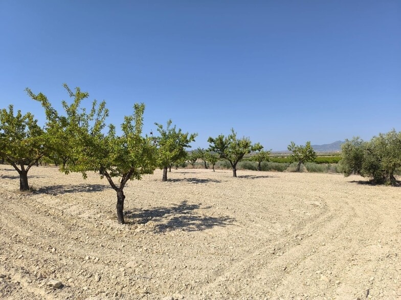 Terreno en MONÒVER, Alicante en venta - Foto principal - Imagen 3 de 12