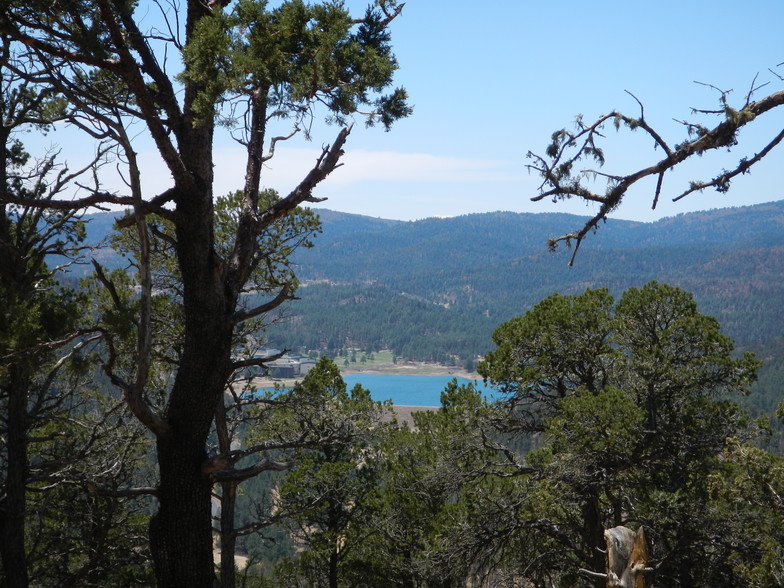 Bosque Vereda Rd, Ruidoso, NM en venta - Otros - Imagen 2 de 6