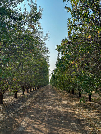 Más detalles para Bear Mountain Blvd., Arvin, CA - Terrenos en venta