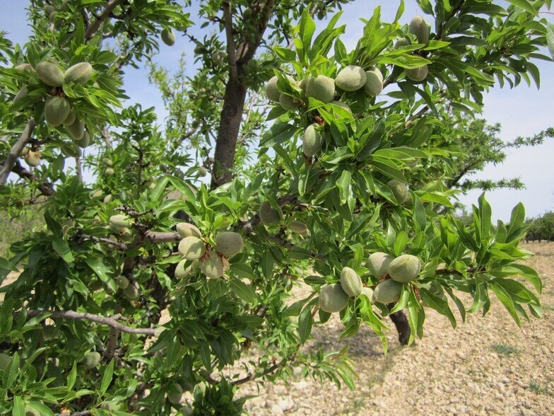 Terreno en MURCIA en venta - Foto del edificio - Imagen 1 de 9