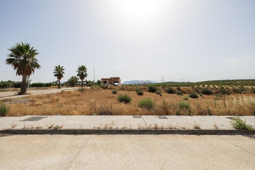 Terreno en Albolote en venta - Foto del edificio - Imagen 3 de 6