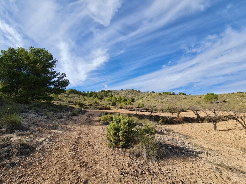 Terreno en Yecla, Murcia en venta - Vista aérea - Imagen 1 de 10