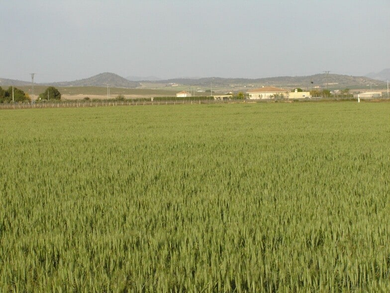 Terreno en MURCIA en venta - Vista aérea - Imagen 2 de 3