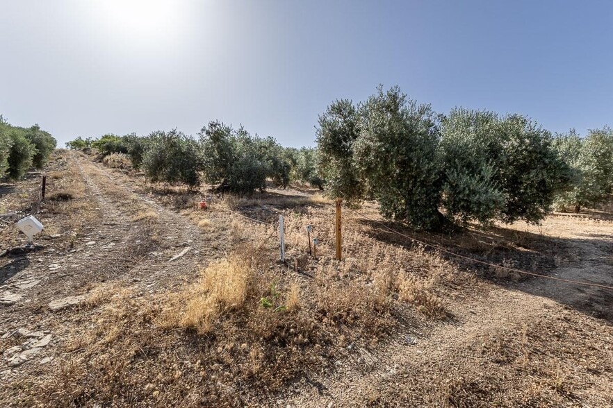 Terreno en Montefrío, Granada en venta - Plano del sitio - Imagen 3 de 16
