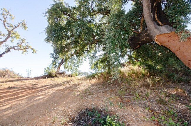 Más detalles de Terreno en venta