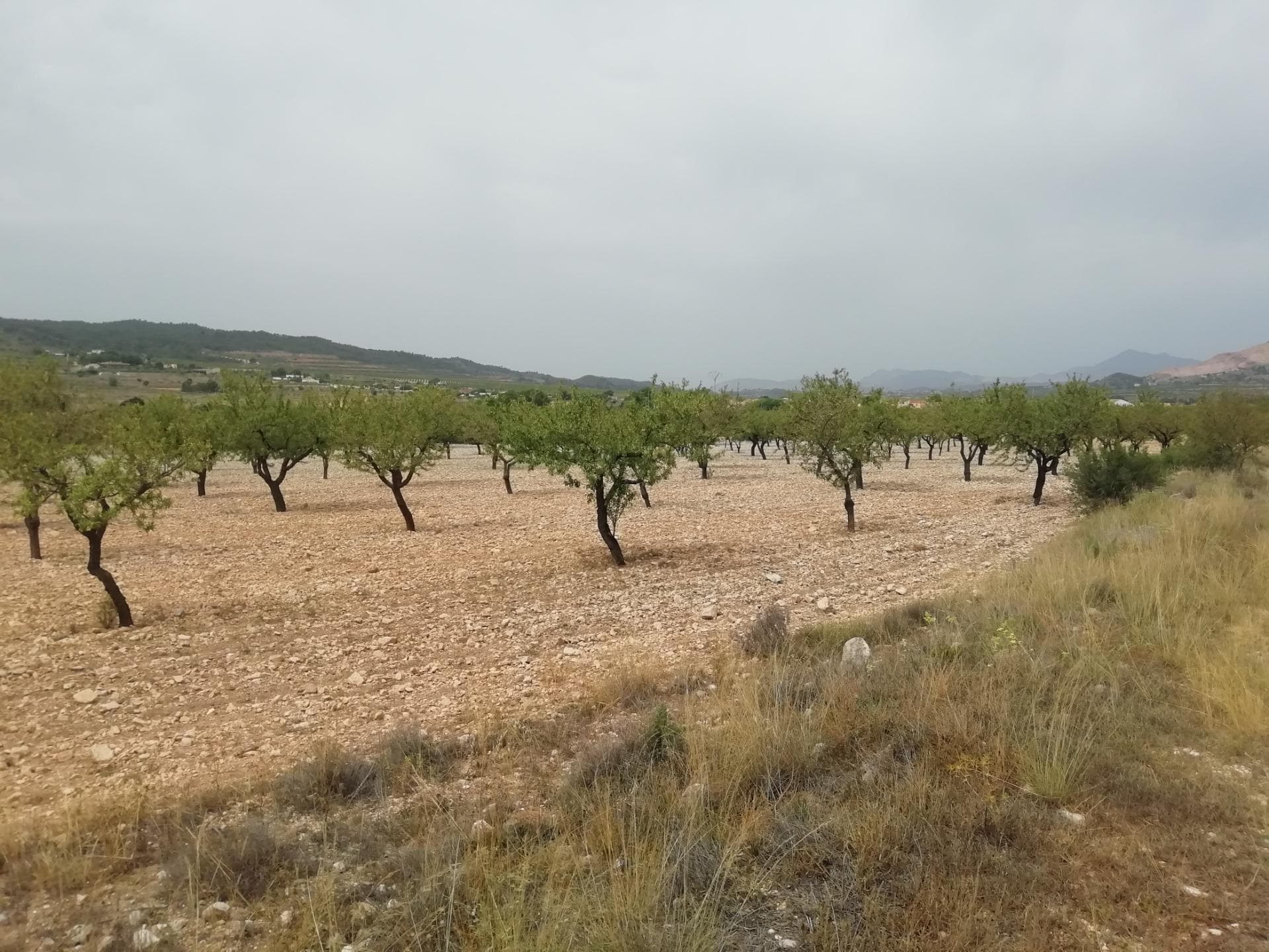 Terreno en Orihuela, Alicante en venta Vista aérea- Imagen 1 de 4