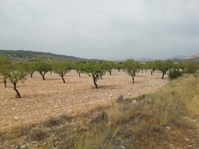 Más detalles de Terreno en venta