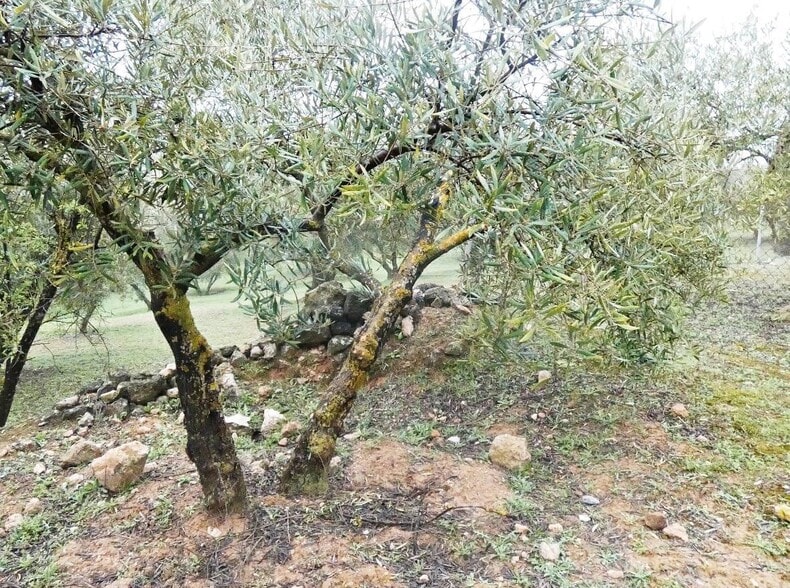 Terreno en Peligros, Granada en venta - Foto del edificio - Imagen 1 de 22