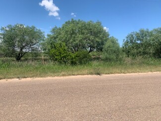 Más detalles para 398 Well Ln, Laredo, TX - Terrenos en venta