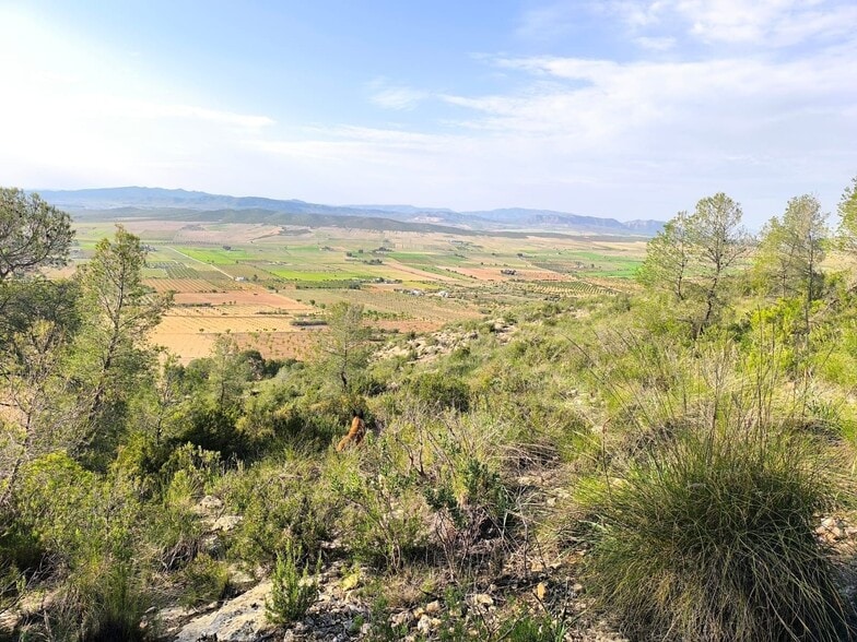 Terreno en Yecla, Murcia en venta - Vista aérea - Imagen 1 de 15