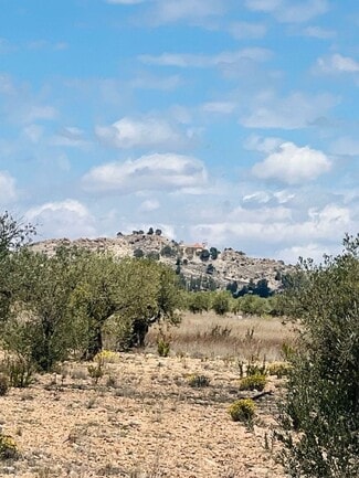 Más detalles de Camino de los Quiñones, Yecla - Terreno en venta