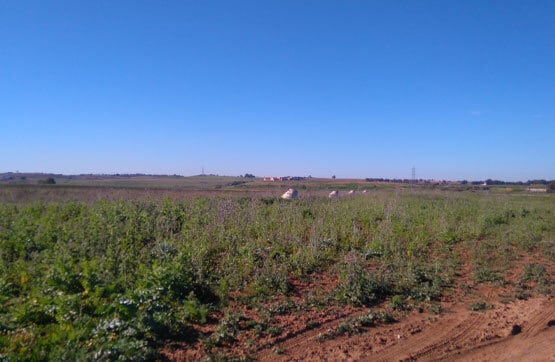Espaldillas Sunp, I.-11, Alcalá de Guadaíra, Sevilla en venta - Vista aérea - Imagen 1 de 3