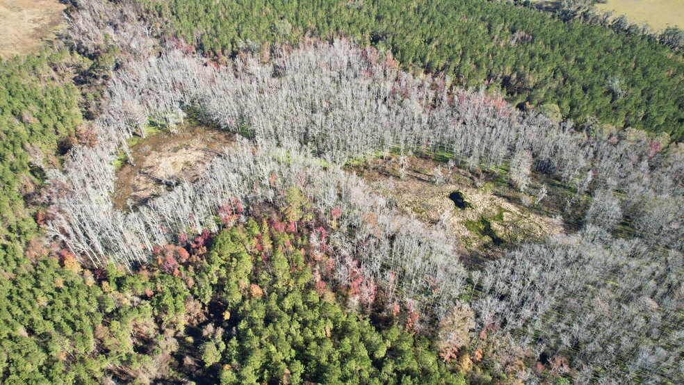 Terreno en Tallahassee, FL en venta - Foto del edificio - Imagen 2 de 9