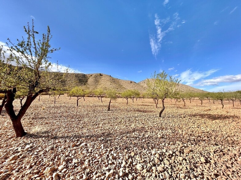Terreno en Orihuela, Alicante en venta - Vista aérea - Imagen 1 de 5