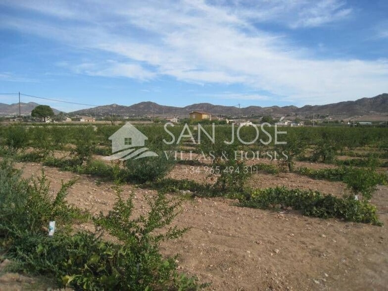 Terreno en Aspe, Alicante en venta - Vista aérea - Imagen 3 de 3